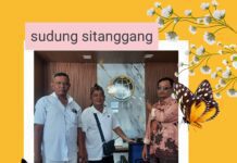 Dilema Sudung Sitanggang Menggugat Penetapan Nomor: 11/Pdt.P-Kons/2022/PN.Blg Karena Harus Juga Menggugat Jonny Sitanggang