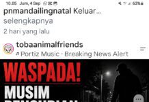 Rotua Wendeilyna Simarmata Ingatkan : ⚠️ WASPADA MUSIM PENCURIAN ANJING MENGANCAM WILAYAH TOBA dan MEDAN